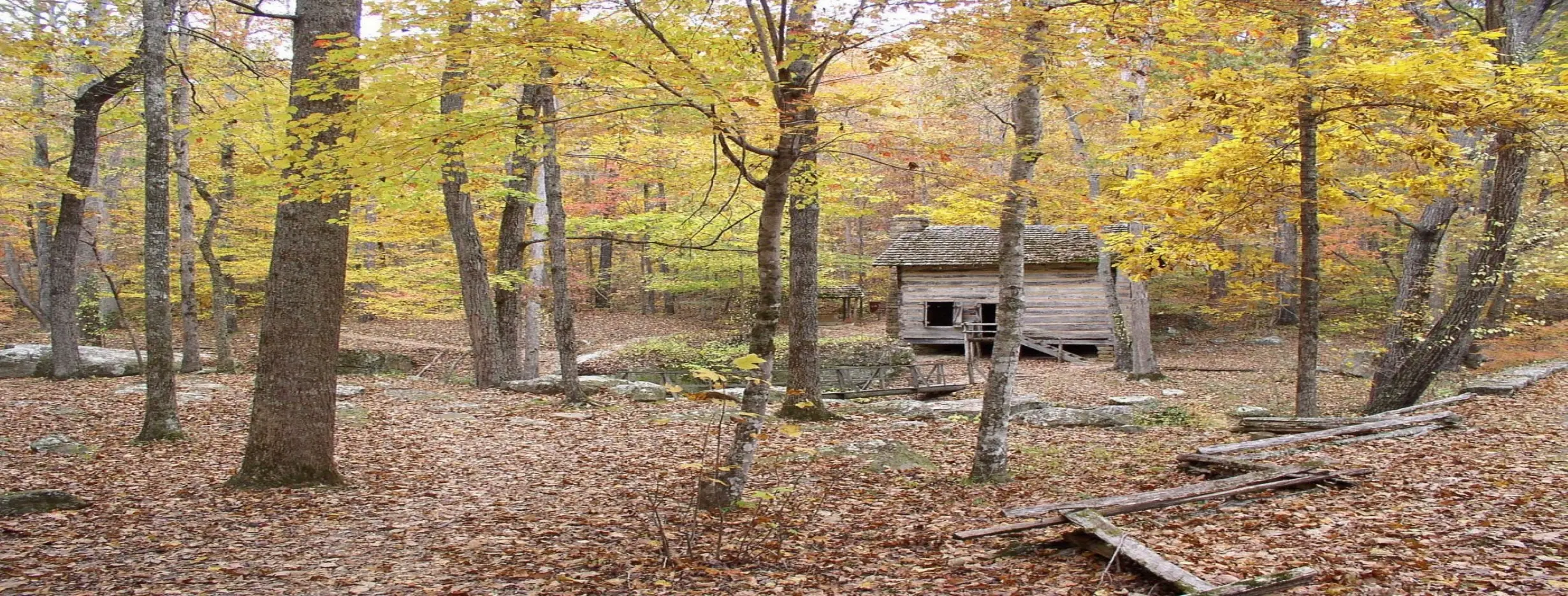 Image for Tishomingo State Park